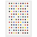 FLUMEQUINE Framed Poster | Damien Hirst Framed Prints Wall Art | Damien Hirst Store