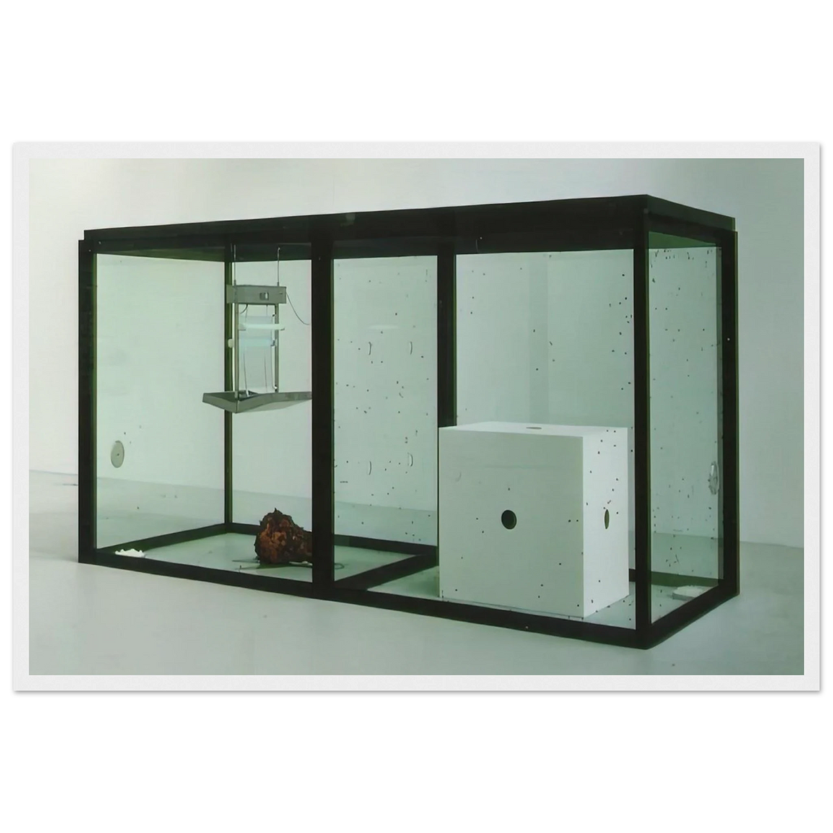 A THOUSAND YEARS Framed Poster | Damien Hirst Framed Prints Wall Art | Damien Hirst Store