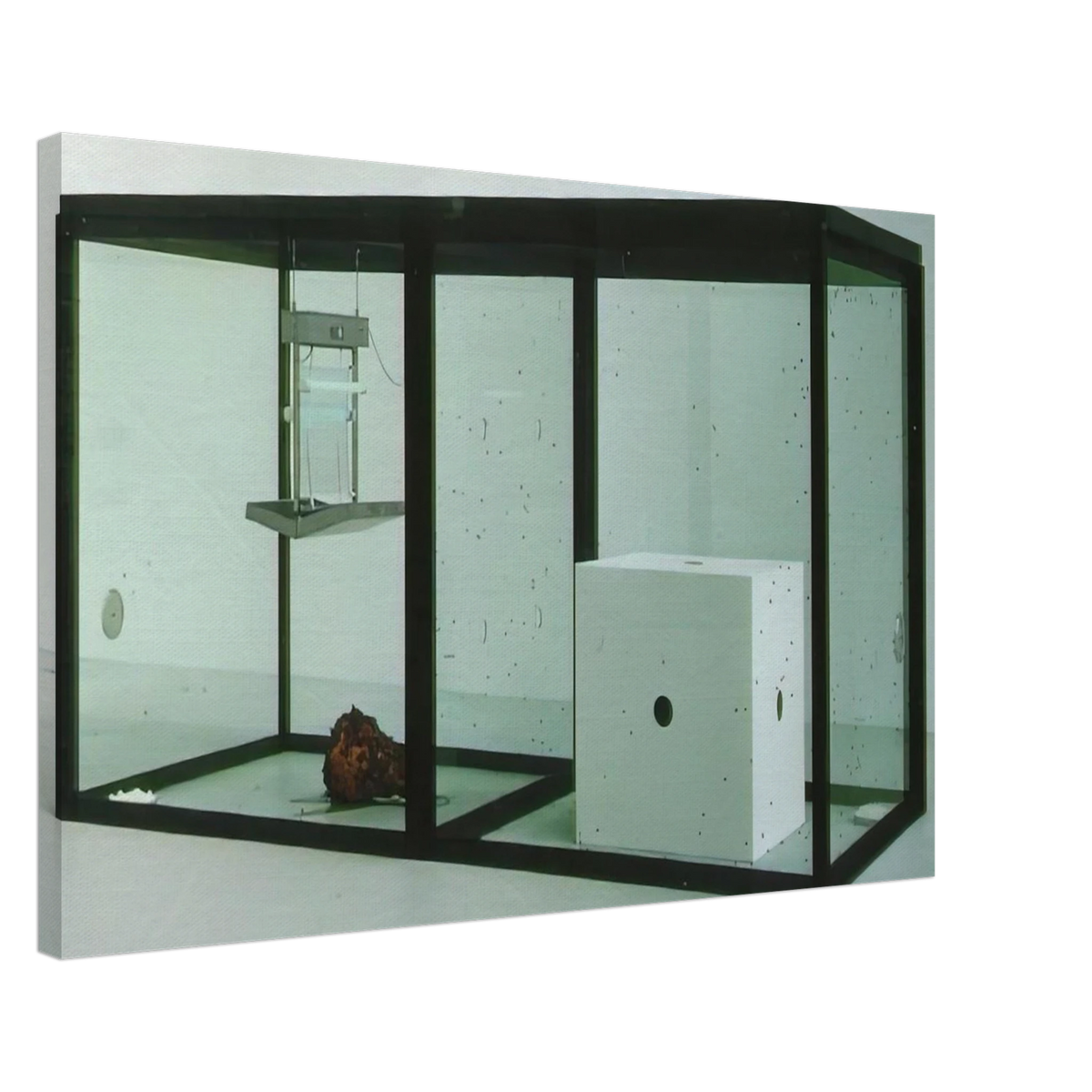 A THOUSAND YEARS Canvas | Damien Hirst Canvas | Damien Hirst Store