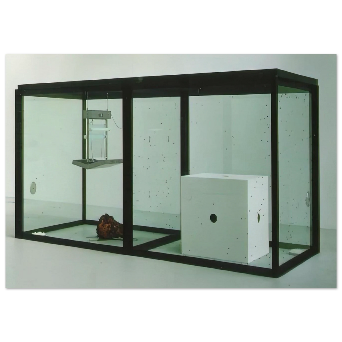 A THOUSAND YEARS Poster | Damien Hirst Poster | Damien Hirst Store