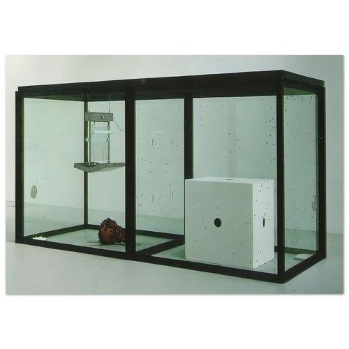 A THOUSAND YEARS Poster | Damien Hirst Poster | Damien Hirst Store