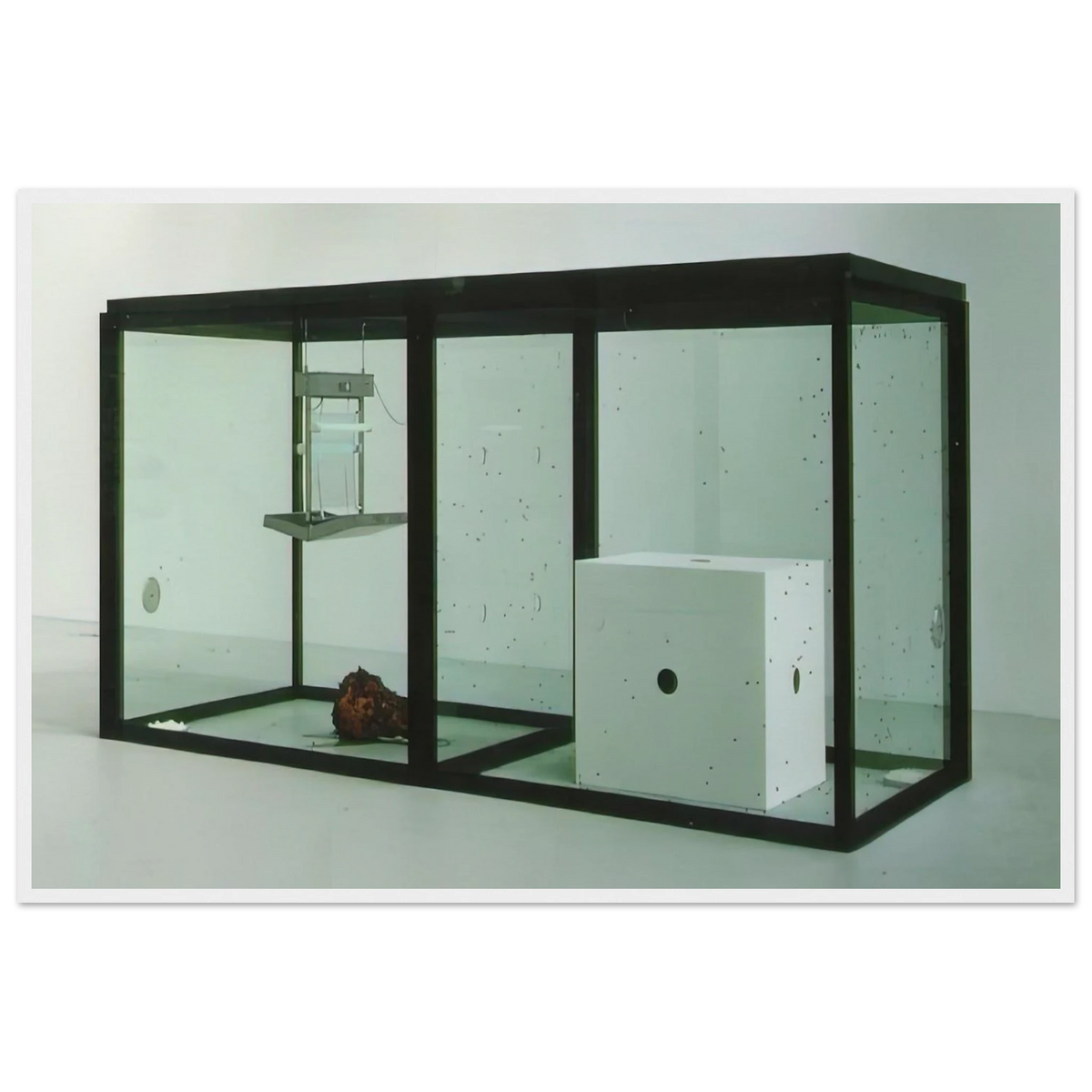 A THOUSAND YEARS Framed Poster | Damien Hirst Framed Prints Wall Art | Damien Hirst Store