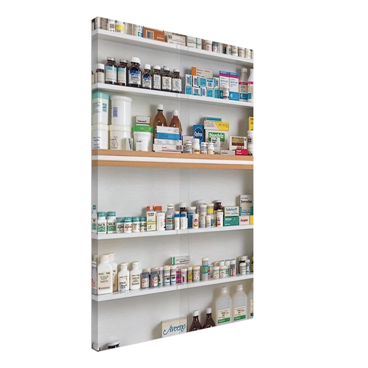 BODIES 1989 Canvas | Damien Hirst Canvas | Damien Hirst Store